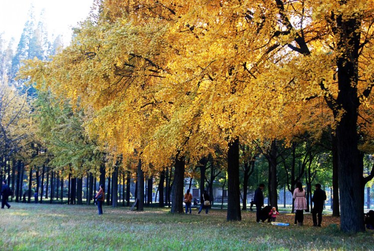 DSC_1363_conew4.JPG