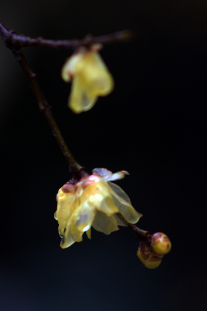 CK8A005712.jpg