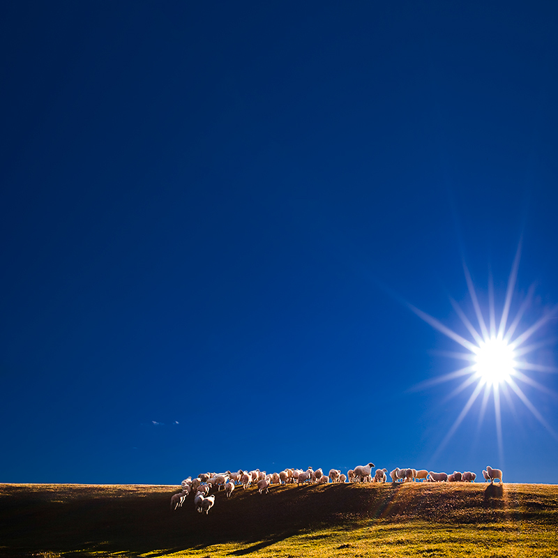3_MG_4977-Ͼ顷.jpg
