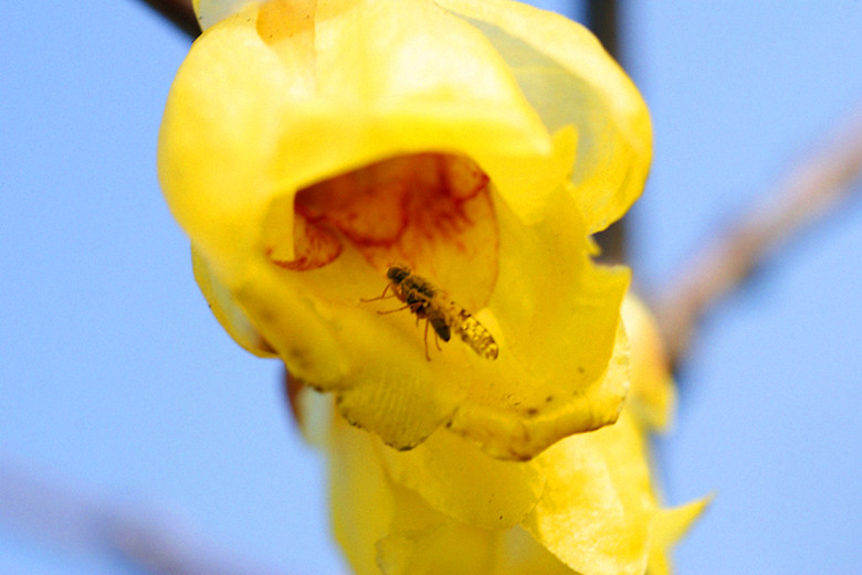 DSC02876_.jpg