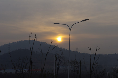 IMGP6204_.jpg