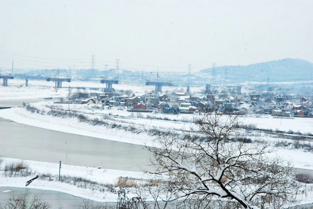 DSC_7530_conew1.JPG