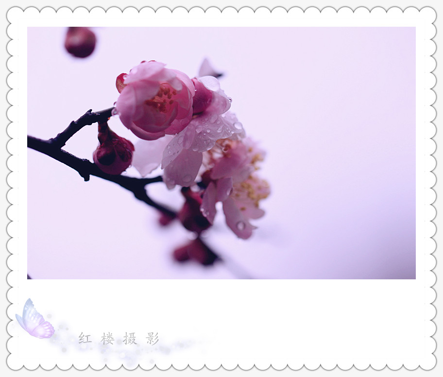 ÷_1083_.jpg