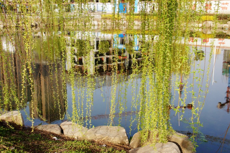 DSC09451_conew1.jpg