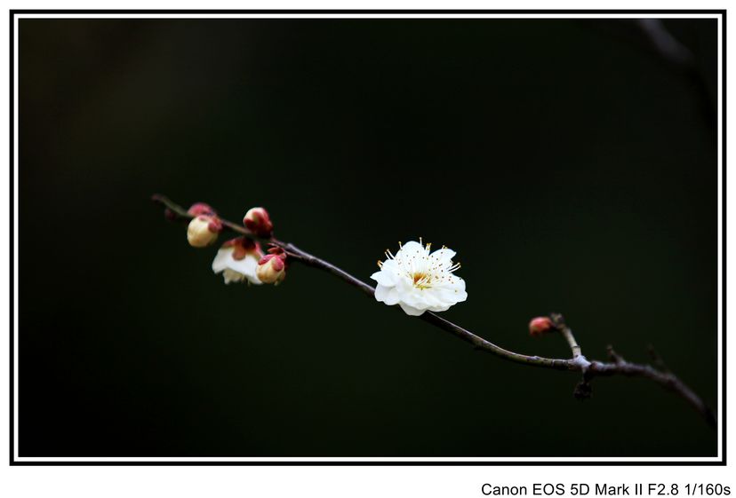 IMG_3660_conew1.JPG