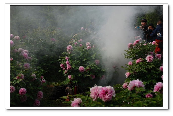 DSC_1574_conew1.JPG