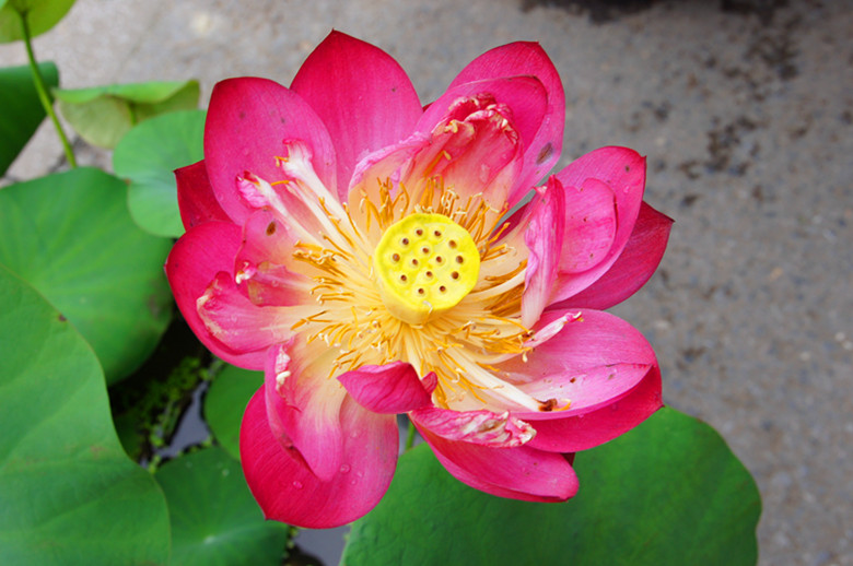 DSC00459_.jpg