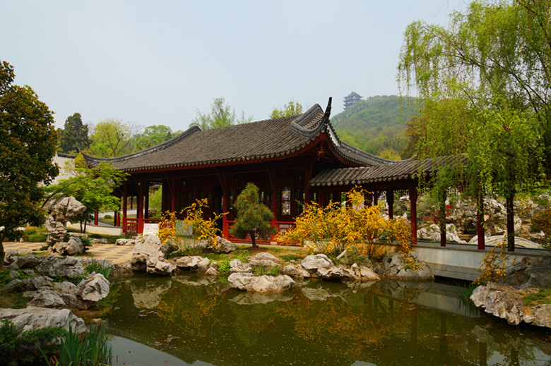 DSC01170_.jpg