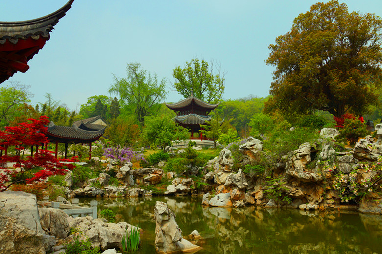 DSC01173_.jpg