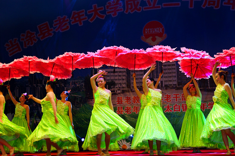 DSC01296_ - .jpg