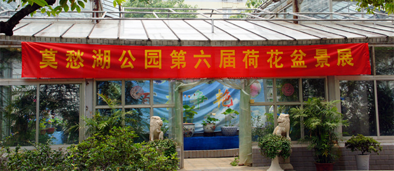 DSC03371_.jpg
