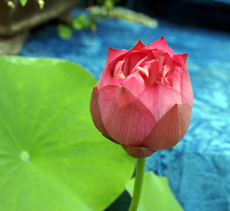 DSC03378_.jpg