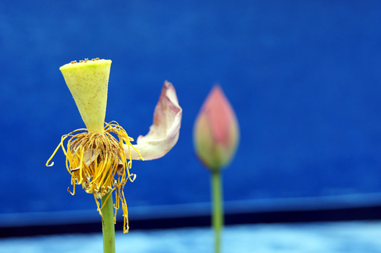 DSC03380_.jpg