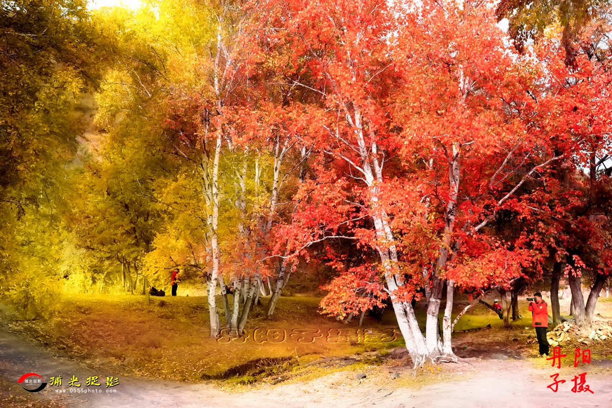 901A1079-1_.jpg