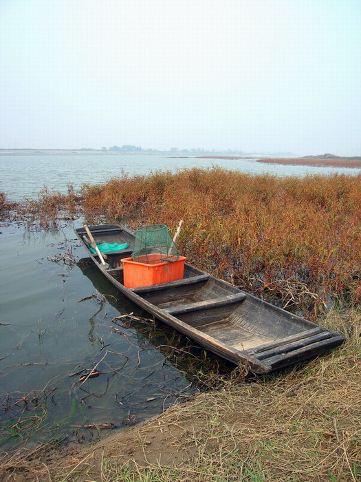 Ϳ6Сʱ