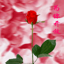 [ԭ]˵Ƭ