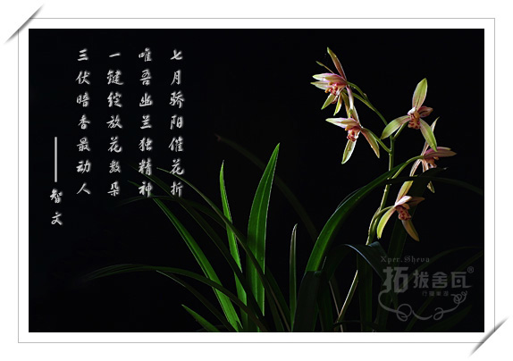[ԭ] ӽ 