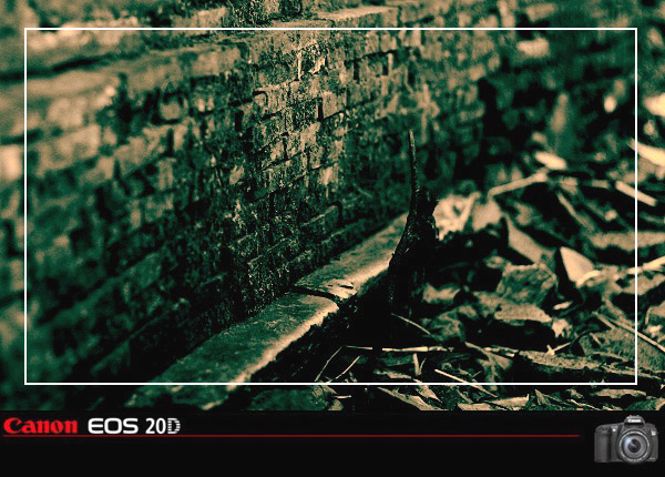 50ͷµСׯ