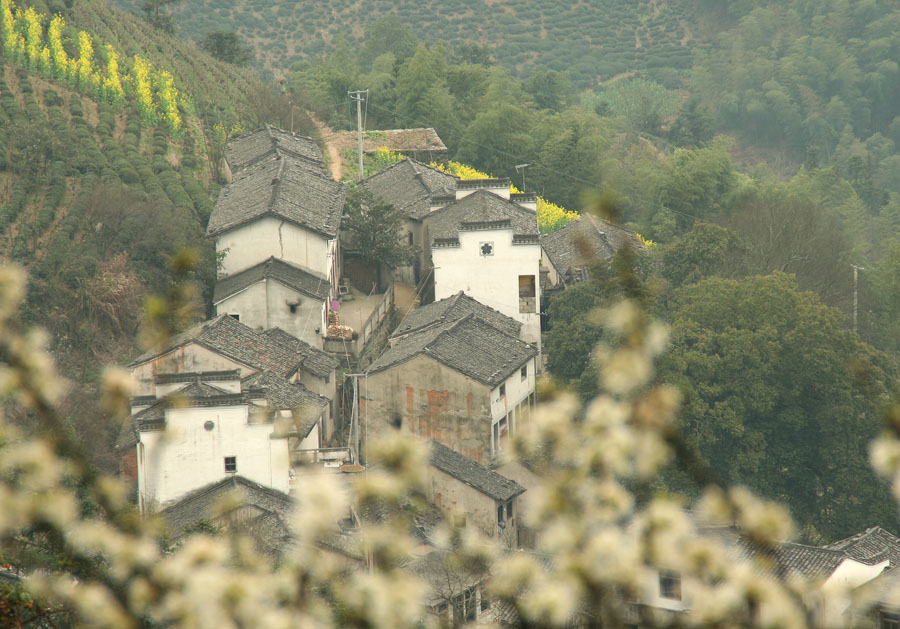 ɽ崺硷