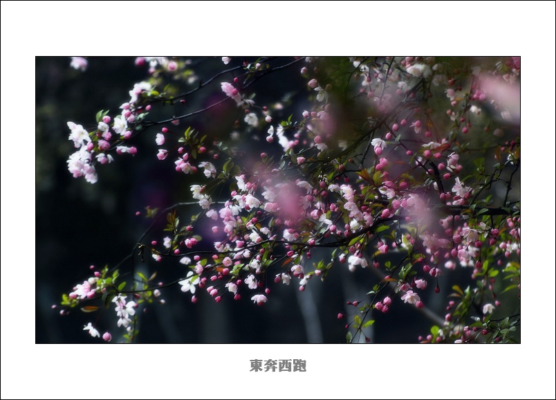 [ԭ]ɽ԰һ