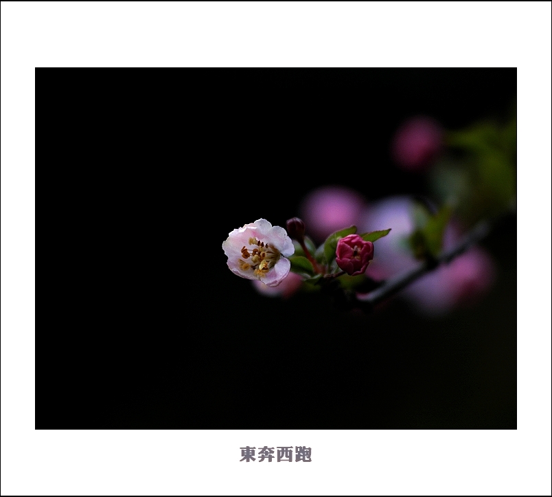 [ԭ]ɽ԰һ
