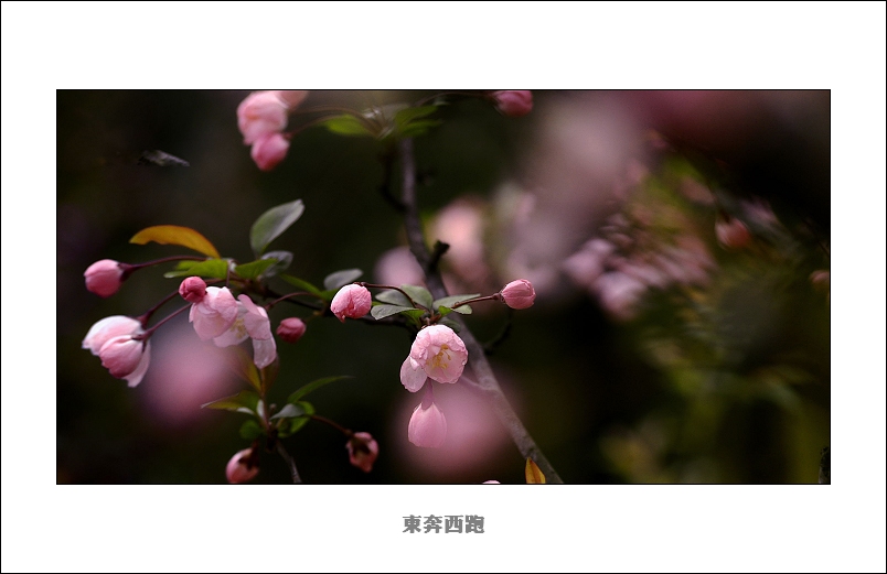 [ԭ]ɽ԰һ