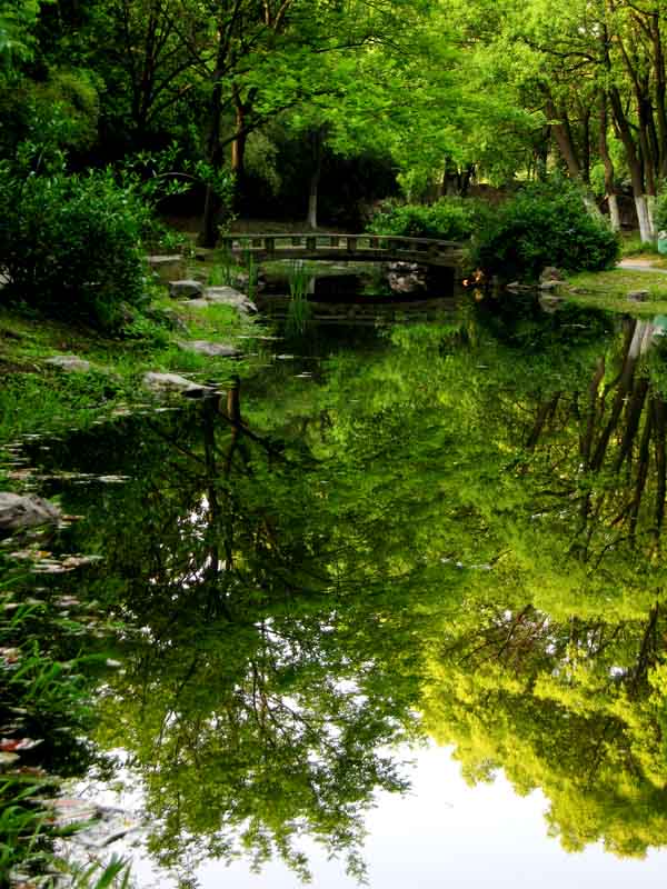 [ԭ]ʯŶ̾ɫͬͣЪӳ졣