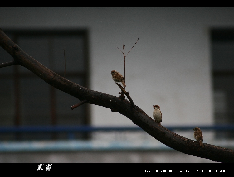 ܹͷEF100-300/4.5~5.6Ծģ