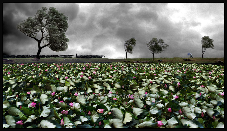 [ԭ]ҵĺɻӰ2005-2008£