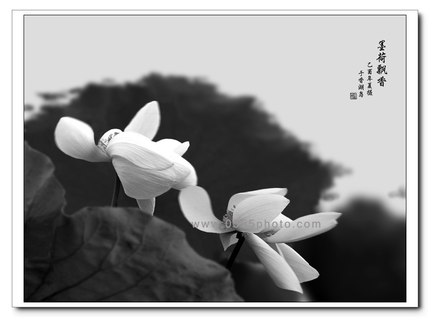 [ԭ]ҵĺɻӰ2005-2008£