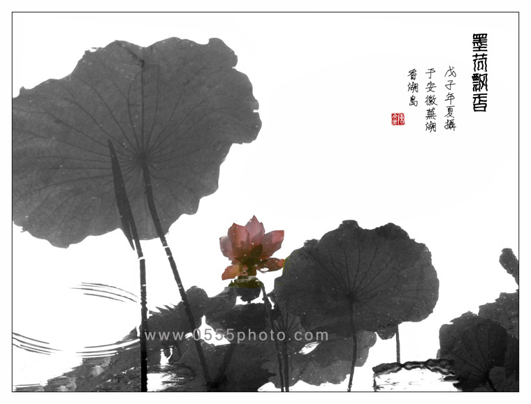 [ԭ]ҵĺɻӰ2005-2008£