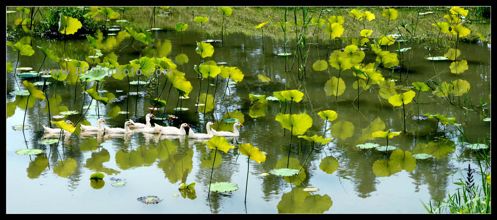 [ԭ]ҵĺɻӰ2005-2008£