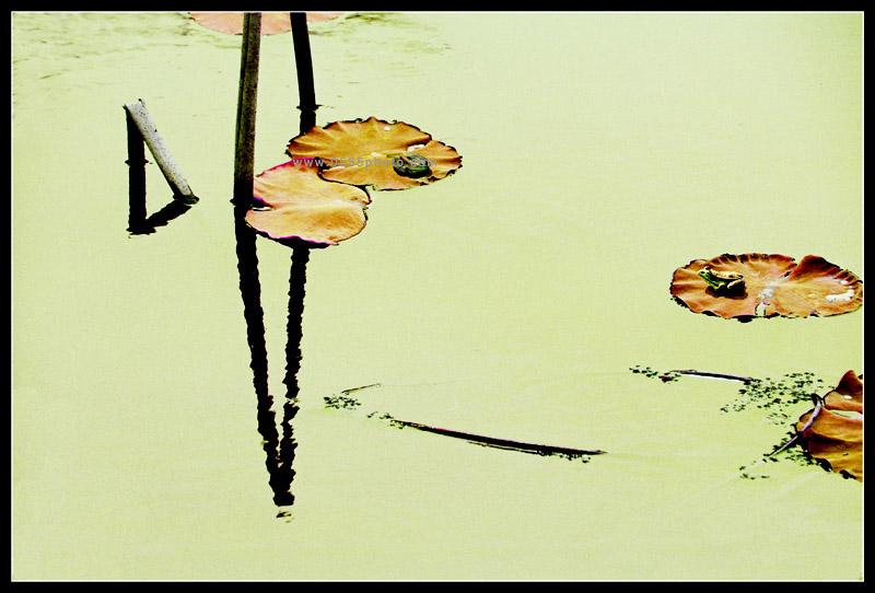 [ԭ]ҵĺɻӰ2005-2008£