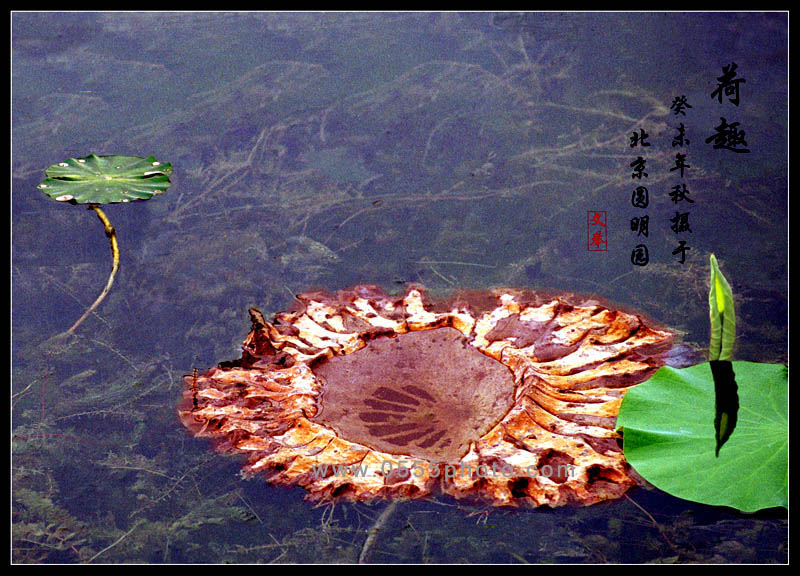 [ԭ]ҵĺɻӰ2005-2008£