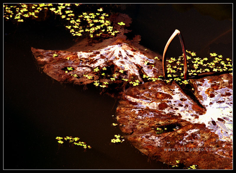 [ԭ]ҵĺɻӰ2005-2008£