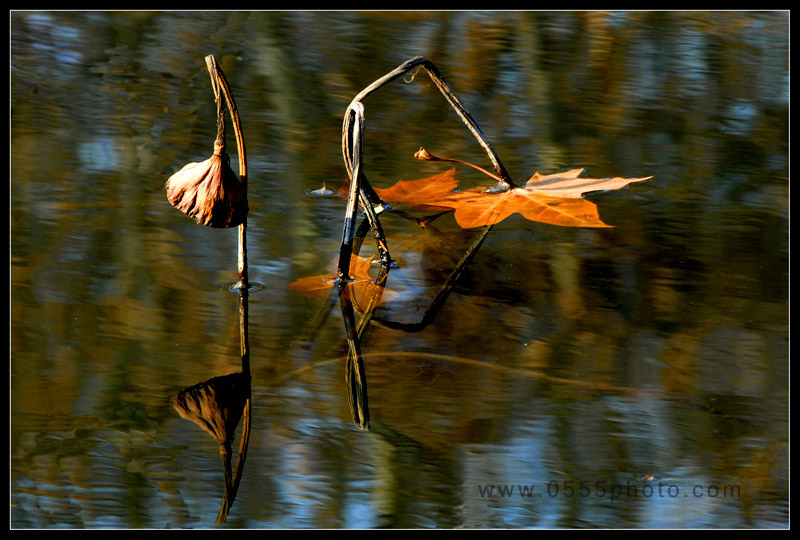 [ԭ]ҵĺɻӰ2005-2008£