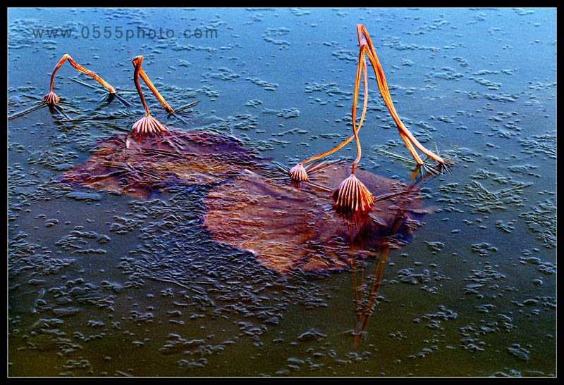 [ԭ]ҵĺɻӰ2005-2008£