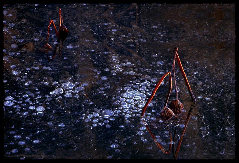 [ԭ]ҵĺɻӰ2005-2008£