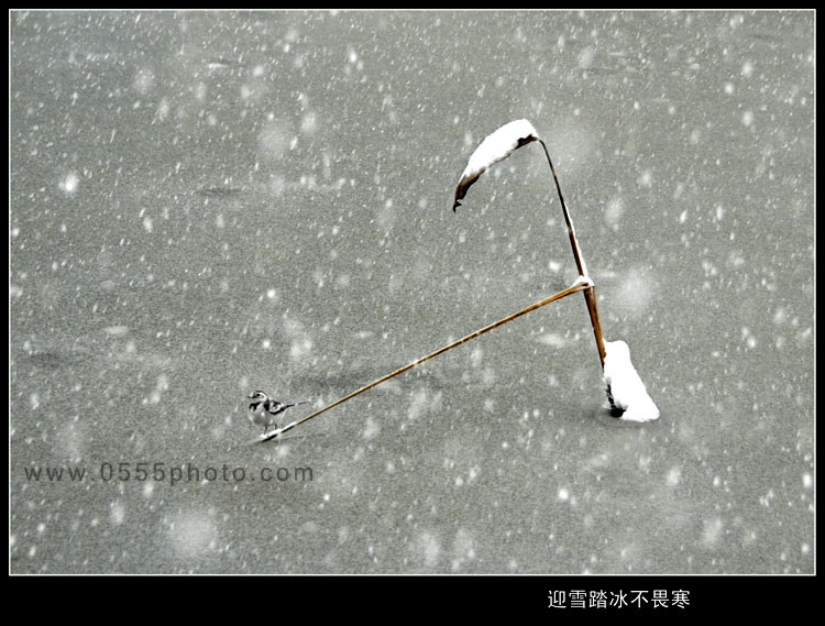 [ԭ]ҵĺɻӰ2005-2008£