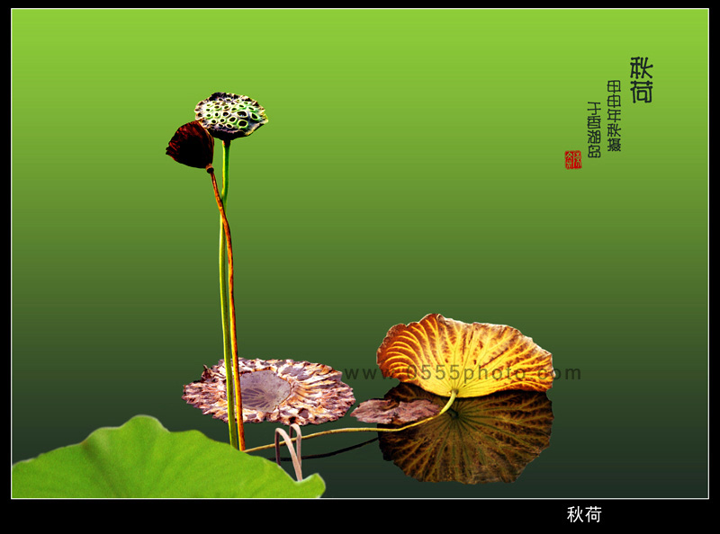 [ԭ]ҵĺɻӰ2005-2008£