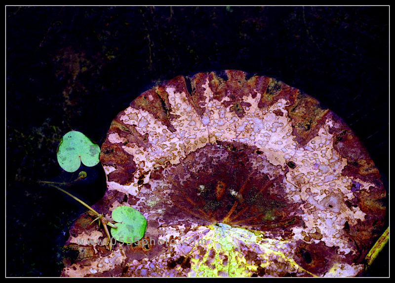 [ԭ]ҵĺɻӰ2005-2008£