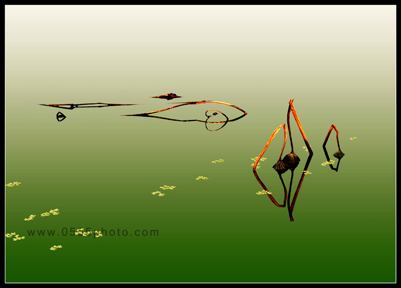 [ԭ]ҵĺɻӰ2005-2008£