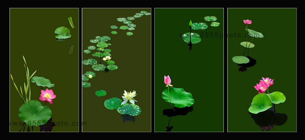 [ԭ]ҵĺɻӰ2005-2008£