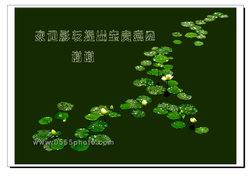 [ԭ]ҵĺɻӰ2005-2008£