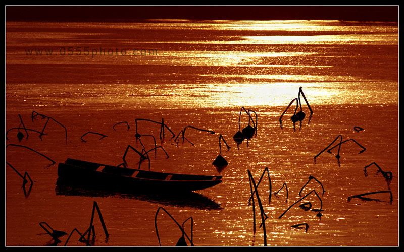 [ԭ]ҵĺɻӰ2005-2008£