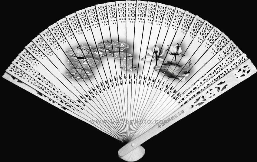 [ԭ]ҵĺɻӰ2005-2008£