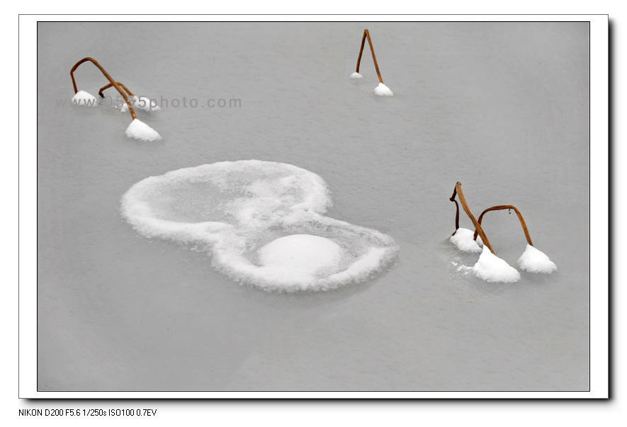 [ԭ]ҵĺɻӰ2005-2008£