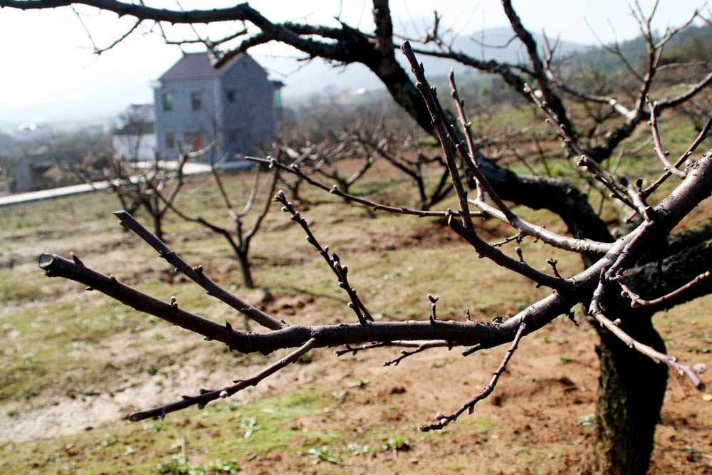 <font color=#08E734>[ԭ]һ俪</color>