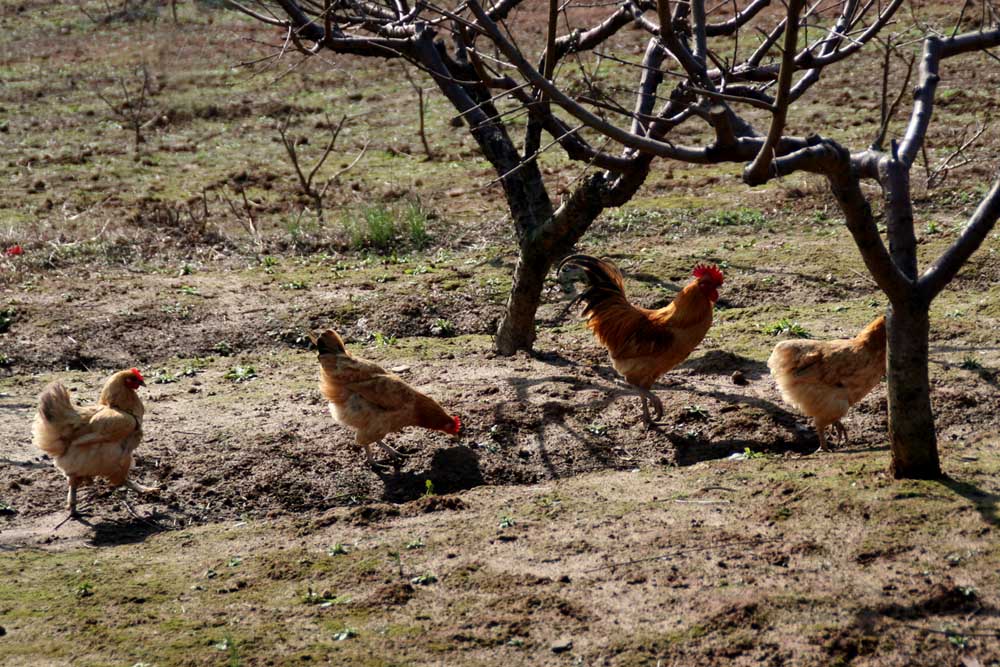 <font color=#08E734>[ԭ]һ俪</color>