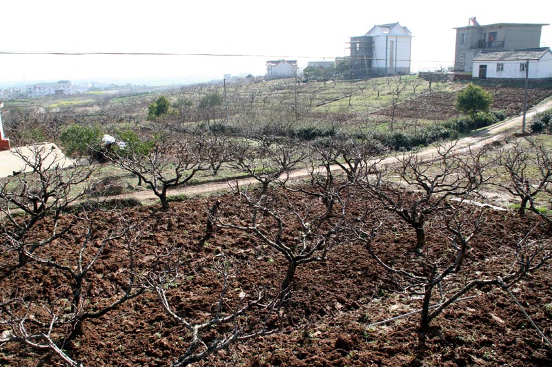 <font color=#08E734>[ԭ]һ俪</color>